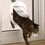 Petsafe Staywell Big Cat / Small Dog 4 Way Pet Door (White) thumbnail