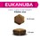 Eukanuba Daily Care Overweight Sterilised Adult Dog Food 12kg thumbnail