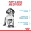 Royal Canin Medium Puppy Dry Food thumbnail