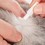Beaphar FIPROtec Combo Spot-On Solution for Cats  thumbnail