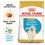 Royal Canin Golden Retriever Puppy Dry Dog Food thumbnail