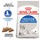 Royal Canin Home Life Indoor Appetite Control Adult Cat Food thumbnail