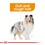 Royal Canin Mini Coat Care Dry Dog Food thumbnail