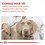 Royal Canin Veterinary Mature Consult Dry Food for Medium Dogs thumbnail