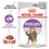 Royal Canin Sterilised Pouches in Gravy Adult Cat Food thumbnail