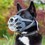 Baskerville INVISA Muzzle for Dogs thumbnail