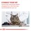 Royal Canin Vet Care Nutrition Neutered Young Male Dry Food for Cats 10kg thumbnail
