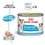 Royal Canin Starter Mother & Babydog Wet Food for Puppies thumbnail