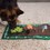 Nina Ottosson Activity Matz Garden Game Mat thumbnail