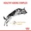 Royal Canin German Shepherd Adult 5+ Dry Dog Food 12kg thumbnail