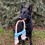 Ancol Made From Recycled Material Rice Bone Dog Toy thumbnail