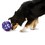 Busy Buddy Kibble Nibble Feeder Ball Dog Toy thumbnail