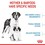 Royal Canin Giant Starter Mother & Babydog Adult/Puppy Dry Food 15kg thumbnail