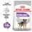 Royal Canin Mini Sterilised Care Dry Dog Food thumbnail