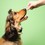 Pooch & Mutt Fresh Breath Mini-Bone Dog Treats 125g thumbnail