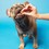 Pooch & Mutt Health & Digestion Mini-Bone Dog Treats 125g thumbnail