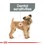 Royal Canin Mini Dental Care Dry Dog Food thumbnail