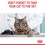 Royal Canin Digestive Care Adult Wet Cat Food in Gravy thumbnail