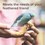 Beaphar XtraVital Premium Parrot Complete Bird Food thumbnail