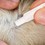 Beaphar FIPROtec Combo Spot-On Solution for Small Dogs thumbnail