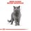 Royal Canin British Shorthair Pouches in Gravy Adult Cat Food thumbnail