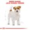 Royal Canin Jack Russell Dry Adult Dog Food thumbnail