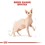 Royal Canin Sphynx Adult Dry Cat Food 10kg thumbnail