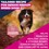 Eukanuba Life Care Medium Breed Senior Dog Food (Chicken) 12kg thumbnail