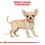 Royal Canin Chihuahua Dry Puppy Food thumbnail