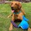 Ancol Made From Recycled Material Oshi the Whale Cuddler Dog Toy thumbnail