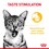 Royal Canin Sensory Taste Adult Wet Cat Food in Gravy thumbnail