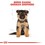 Royal Canin German Shepherd Dry Puppy Food 3Kg thumbnail
