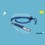 Coachi Learn Professional Dog Training Whistle (Navy) thumbnail