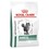 Royal Canin Diabetic Dry Food for Cats thumbnail