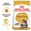 Royal Canin Maine Coon Adult Cat Food thumbnail