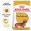 Royal Canin Dachshund Dry Adult Dog Food thumbnail