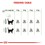 Royal Canin Digestive Care Adult Cat Food thumbnail