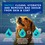 DOUXO Skin & Coat SPA Ultra-Safe Odour Control Dog Shampoo 250ml thumbnail