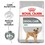 Royal Canin Mini Dental Care Dry Dog Food thumbnail