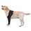 Suitical Recovery Sleeve for Dogs (Black) thumbnail
