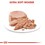 Royal Canin First Age Mother & Babycat Tins Kitten Food thumbnail