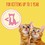 Purina Go-Cat Kitten Dry Cat Food (Chicken with Milk & Vegetables) 2kg thumbnail