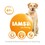 Iams for Vitality Light in Fat Adult Dog Food (Fresh Chicken) 12Kg thumbnail