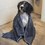Henry Wag Microfibre Cleaning Towel thumbnail