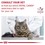 Royal Canin Indoor Sterilised Adult Wet Cat Food in Jelly thumbnail