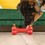 KONG Ziggies Enhanced Adult Dog Treats  thumbnail