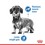 Royal Canin X-Small Light Weight Care Dry Dog Food 1.5kg thumbnail