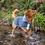 Henry Wag Microfibre Drying Coat for Dogs thumbnail