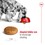 Royal Canin Medium Adult Dry Dog Food thumbnail