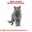 Royal Canin British Shorthair Adult Cat Food thumbnail
